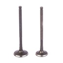 VALVULAS MOTOMEL MEGUELLI 250 AD 28X100 ES 24X100 (JGO) STD