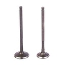 VALVULAS MOTOMEL VX125/150/ELITE 125/CORTA AD 24X65 ES 21.5X64.5 (JGO) STD