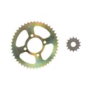 CORONA Y PIÑON SUZUKI EN125/GN125 (45x14) DORADA STD