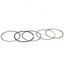 ARO PISTON MOTOMEL XPLORA 250/SKUA250 67mm (0.75) STD