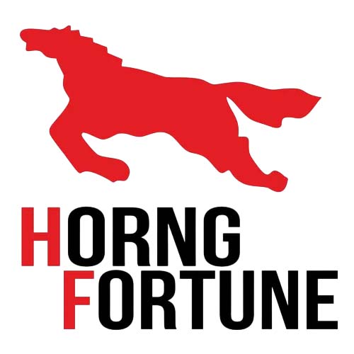 CUBIERTA HORNG FORTUNE 275X17 PISTA 2PR F-920