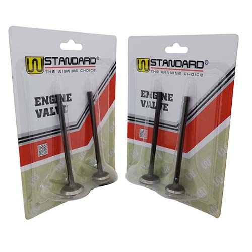 VALVULAS HONDA CB300F TWISTER / TORNADO XR300L STD