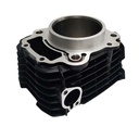 KIT CILINDRO + PISTON HONDA CB300F / XR300L TORNADO (77MM) STD