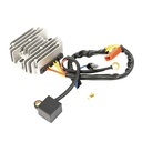 REGULADOR DE VOLTAJE TRIFASICO BAJAJ ROUSER NS200 STD