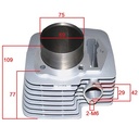 KIT CILINDRO + PISTON MOTOMEL DAKAR 200/SKUA 250 CADENERA (69mm) STD