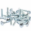 TORNILLO M6X20 PLATEADO P/PLASTICOS CABEZA Ø 16mm X UNIDAD PLASTICA VC (T003A)