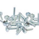 TORNILLO M6X25 PLATEADO P/PLASTICOS CABEZA Ø 16mm X UNIDAD PLASTICA VC (T004A)