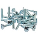 TORNILLO M6X25 PLATEADO P/PLASTICOS CABEZA Ø 16mm X UNIDAD PLASTICA VC (T004A)