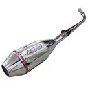 ESCAPE MOTO 110 ST2 CROMO DEPORTIVO PAOLUCCI (EM110P22-D)