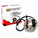 ESTATOR SUZUKI AX100 STD