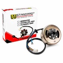 ESTATOR SUZUKI AX100 C/VOLANTE STD