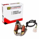 ESTATOR ZANELLA ZB 110 STD