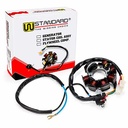 ESTATOR YAMAHA YBR 125 00/01 (7 BOBINAS) STD