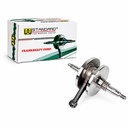 CIGUEÑAL COMPLETO SUZUKI EN125 STD