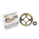 CORONA Y PIÑON MOTOMEL SKUA 200 (50/17) DORADA STD