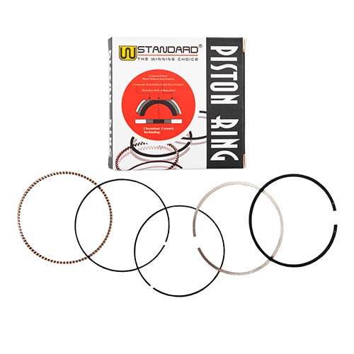 ARO PISTON MOTOMEL XPLORA 250/SKUA250 67mm (0.75) STD