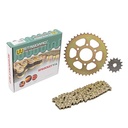 KIT TRANSMISION BAJAJ ROUSER NS 200 (6 AGU.) 39/14 520H-108L C/CAD. DOR. STD
