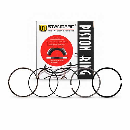 ARO PISTON BAJAJ ROUSER 200/220 (STD) STD