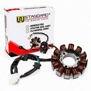 ESTATOR YAMAHA YS250 FAZER/XTZ250 LANDER 2010 STD