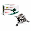 CIGUEÑAL COMPLETO SUZUKI GIXXER 150 STD