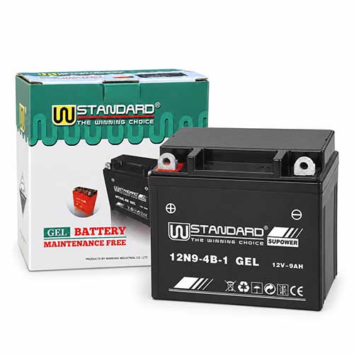 BATERIA DE GEL 12N9-4B-1 STD
