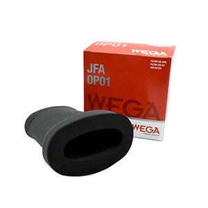 FILTRO DE AIRE BENELLI TNT 250 - 250CC WEGA (JFA-0P01)