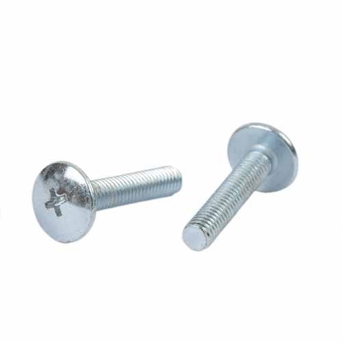 TORNILLO M6X20 PLATEADO P/PLASTICOS CABEZA Ø 16mm X UNIDAD PLASTICA VC (T003A)