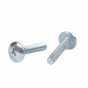 TORNILLO M6X20 PLATEADO P/PLASTICOS CABEZA Ø 16mm X UNIDAD PLASTICA VC (T003A)
