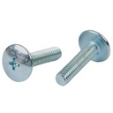 TORNILLO M6X25 PLATEADO P/PLASTICOS CABEZA Ø 16mm X UNIDAD PLASTICA VC (T004A)