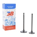 VALVULAS MOTOMEL XPLORA 250CC (JGO) 3B (VK-4338)