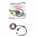 ESTATOR BAJAJ ROUSER NS200 FI (2022) STD