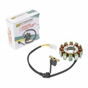 ESTATOR BAJAJ ROUSER NS200 (12 BOBINAS) STD