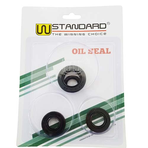 KIT RETENES MOTOMEL SKUA 250 / XMM250 / CADENEROS125 STD