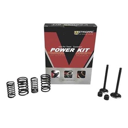[W74244] V-POWER KIT YAMAHA FZ16 (VALVULAS + RETEN + RESORTES) STD