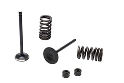 [W74244] V-POWER KIT YAMAHA FZ16 (VALVULAS + RETEN + RESORTES) STD