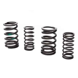 [W78289] RESORTE DE VALVULA ADM/ESC INTERIOR & EXTERIOR BAJAJ ROUSER 220CC (4PCS) STD